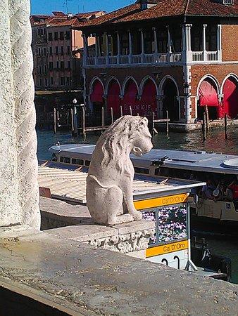 ça d'oro leone sul balcone