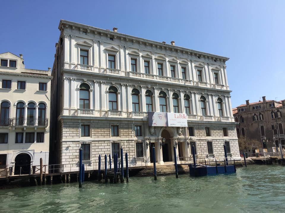 palazzo grassi