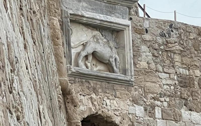 Fortezza veneziana a Candia, oggi Heraclion - leone nella parte verso il bacino
