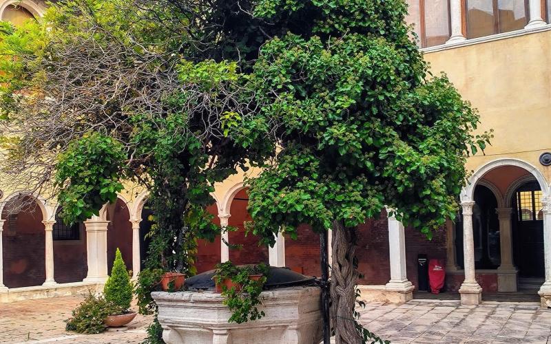 San Zaccaria, la vera da pozzo nel chiostro 