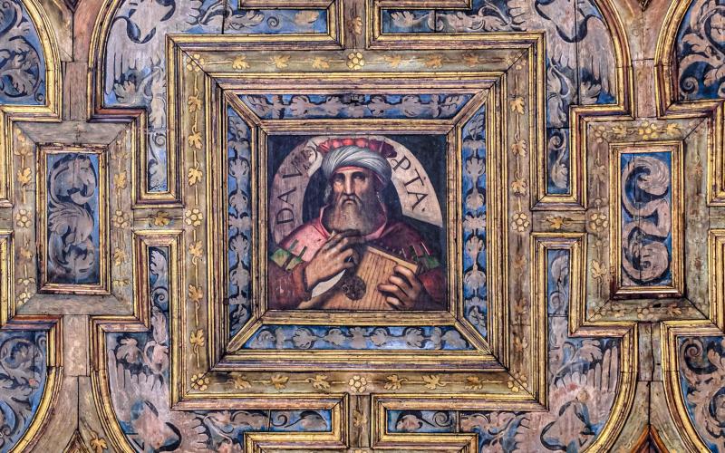 Vista di uno dei 50 quadri incorniciati nel ricchissimo soffitto