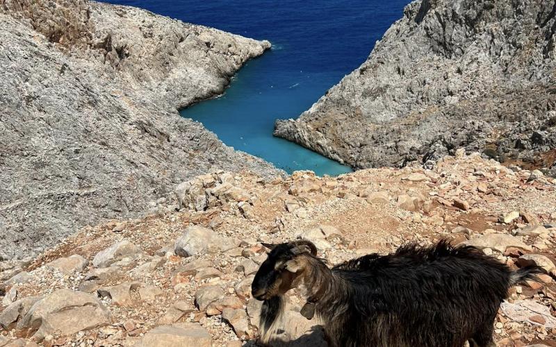 La spiaggia di Seitan Limania a Creta, vista dall'inizio del sentiero di discesa