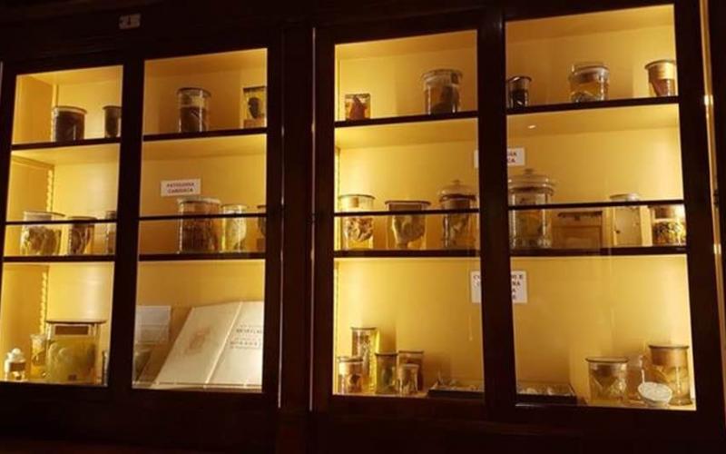 Farmacia a fianco della scuola grande di San Marco