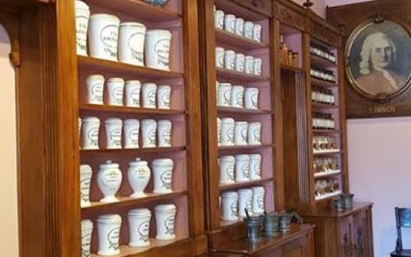 Farmacia a fianco della scuola grande di San Marco