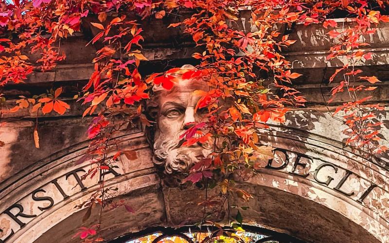 Il portale di ingresso di ca foscari